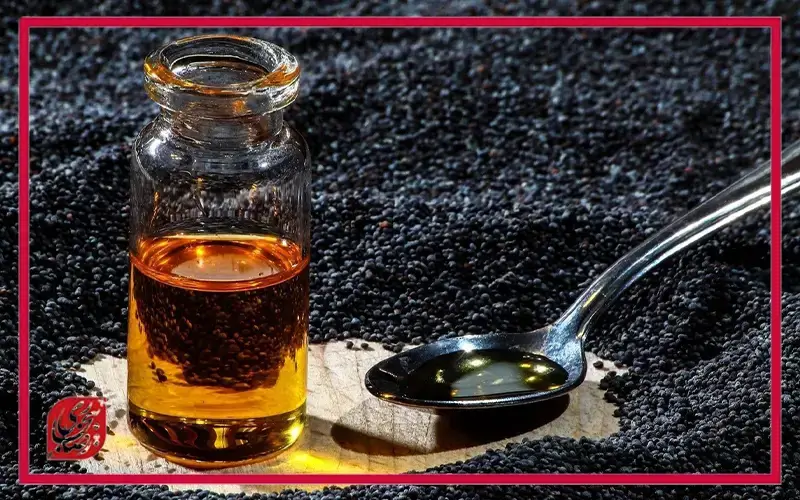 پیشینه تاریخی زیره