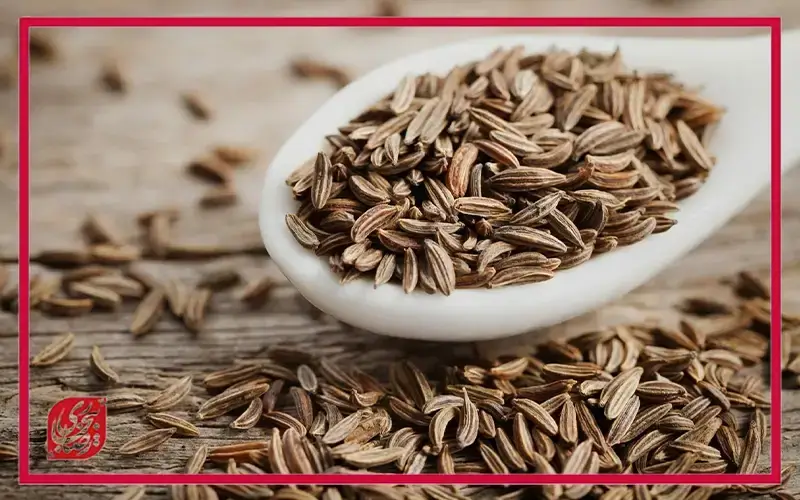 تقویت پوست و جلوگیری از پیری زودرس با زیره سبز