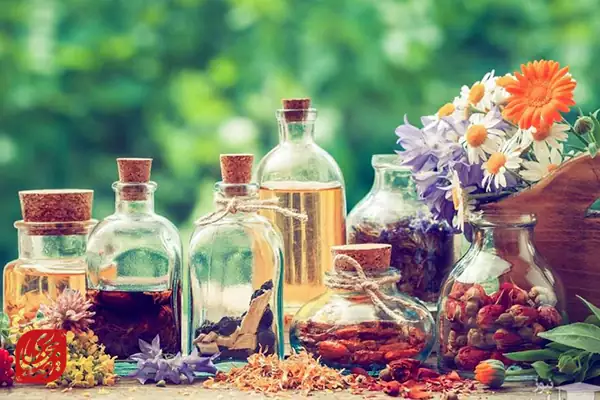 عرقیات گیاهی: نوشیدنی‌های سلامت‌بخش کویر
