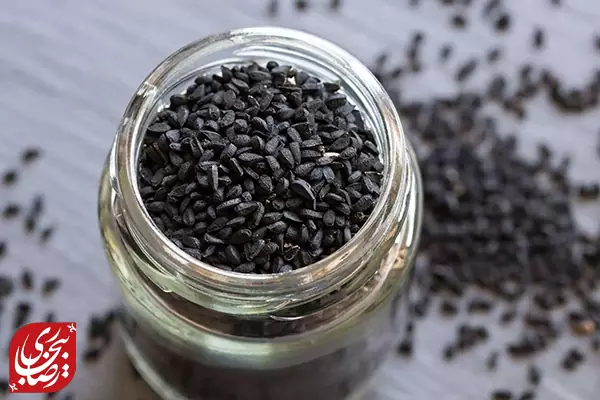 تاریخچه زیره: از مصر باستان تا امروز