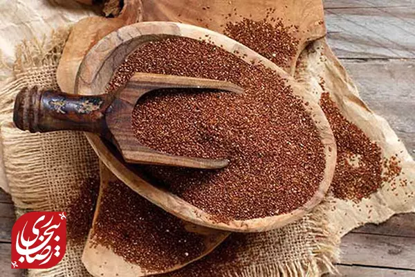 نقش خاکشیر در درمان کبد چرب