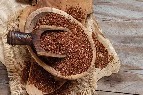 پاکسازی کبد: خاکشیر، دوست کبد شما